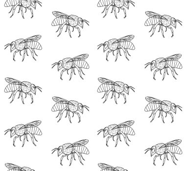 Elle çizilen arının kusursuz deseni.