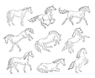 Vector seamless pattern of hand drawn horses isolated on white background