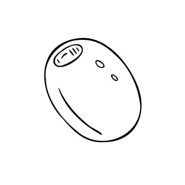 Vektör el çizimi beyaz arkaplanda izole edilmiş zeytin çizimi