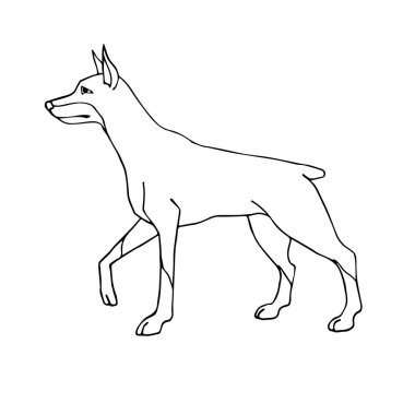Vektör el çizimi. Robot resim. Doberman köpeği.