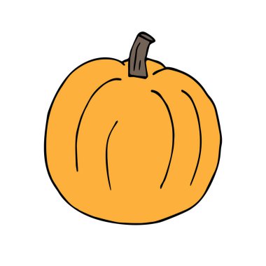 Vektör el çizimi beyaz arkaplanda izole edilmiş renkli balkabağı çizimi