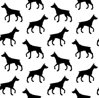 El çiziminin kusursuz çizimi. Beyaz arka planda izole edilmiş siyah doberman köpekleri.