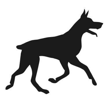 köpek beyaz arkaplan vektör çiziminde izole edildi