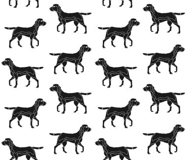 Köpekler beyaz vektör illüstrasyonunda izole edildi