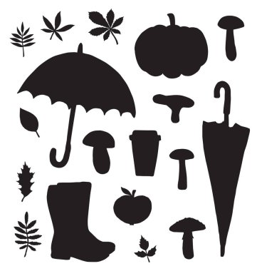 çeşitli mantarlar, balkabağı, yapraklar ve şemsiye, sonbahar konsepti 