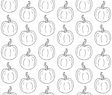 Kabak vektör çizimi kümesi 