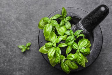 Yeşil taze fesleğen yaprakları, üst manzara