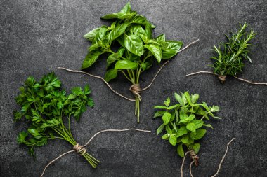 Bahçeden taze bitkiler getirdim. Nane, biberiye, maydanoz ve siyah arka planda fesleğen otu..