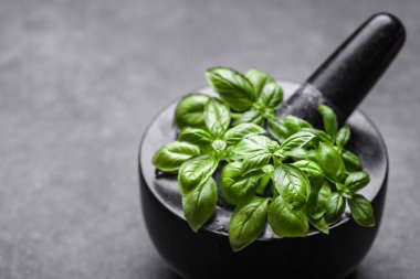 Yeşil taze fesleğen yaprakları