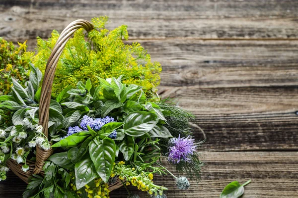 Gesorteerde Tuin Verse Kruiden Houten Achtergrond — Stockfoto