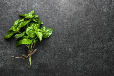 Koyu arkaplanda taze yeşil fesleğen sürüsü