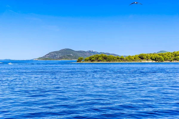 Adriatic Coast Island Green Pines Mediterranean Sea Croatia Dalmatia — Stock Photo, Image