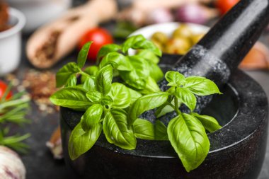 Yeşil taze fesleğen yaprakları. İtalyan yemek malzemeleri..