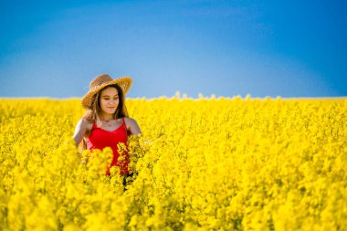 Kolza tohumlu bir kızın yaz portresi. Örnek bir kadının kanola tarlasında güneşlendiği ve sarı çiçeklerin açtığı kırsal bir yer. Mutluluk, mutluluk ve özgürlük kavramı.