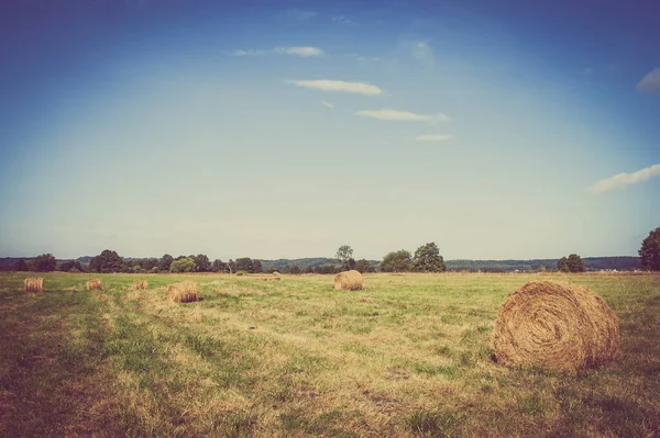 Prachtig Landelijk Landschap Met Hooibalen Weide Zomer Bij Oogst Boerderij — Stockfoto