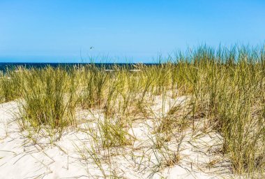 Deniz manzaralı manzara, kum tepeciği ve çimen, yaz masmavi gökyüzü, Leba, Baltık Denizi, Polonya, doğa arkaplanı.