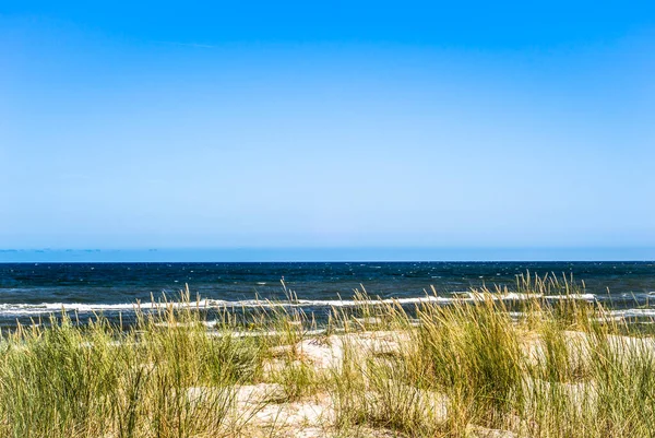 Landskap Med Utsikt Över Havet Sanddyner Och Gräs Blå Himmel — Stockfoto