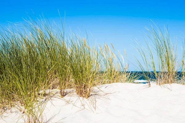 Paisagem Duna Areia Grama Pelo Mar Céu Azul Leba Mar — Fotografia de Stock