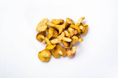 Beyaz arka planda Chanterelles mantarları.