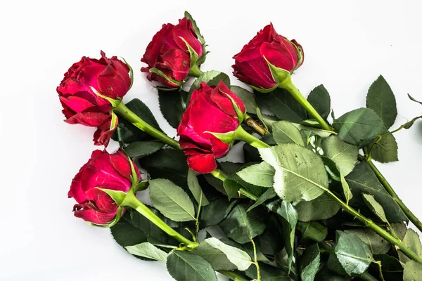 Kwiaty Tło Bukietem Czerwonych Róż Białym Tle Przydatne Jako Kartka — Zdjęcie stockowe