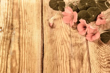 Kahverengi ahşap arka planda izole edilmiş nasturtium çiçekleriyle klasik arka plan duvar kağıdı, tebrik kartı, anneler günü, düğün davetiyesi veya davetiye kartı gibi faydalıdır..