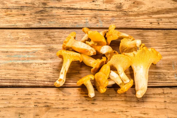 Грибы Chanterelles Леса Деревянном Фоне — стоковое фото