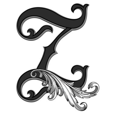 Beyaz arka planda izole edilmiş büyük harfli dekorasyonun vektör çizimi. Barok süslemeli zarif antika harf Z. Baş harfler, logolar, amblemler için zarif siyah harfler.