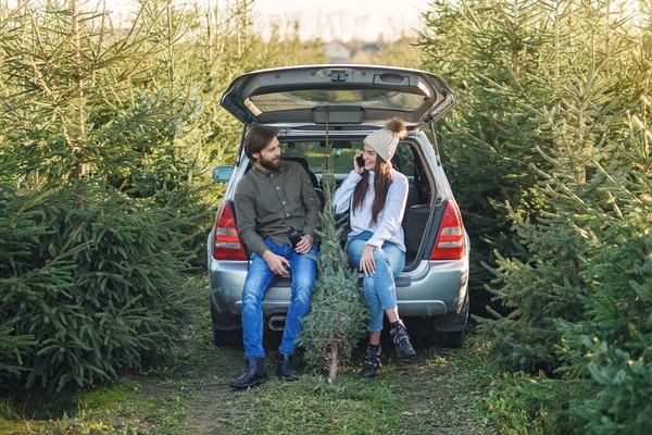 Пара влюбленных, загружающих свежесрубленную рождественскую елку в багажник своей машины. Молодая семья готовится к праздникам. Лицензионные Стоковые Фото