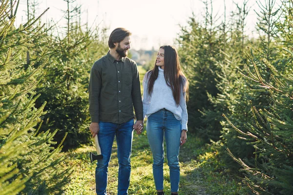 Jeune famille heureuse choisissant arbre de Noël à la plantation préparer des vacances. — Photo