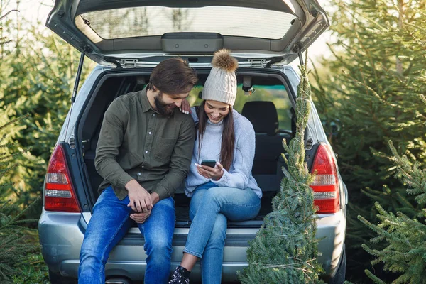 Homem barbudo alegre e mulher bonita de chapéu sentado no tronco do carro segurando abeto e usando smartphone na área de plantação — Fotografia de Stock