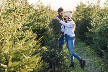 İyi görünümlü genç çift, tatil hazırlıkları sırasında ormanda seçilen köknar ağacının tadını çıkarıyorlar..