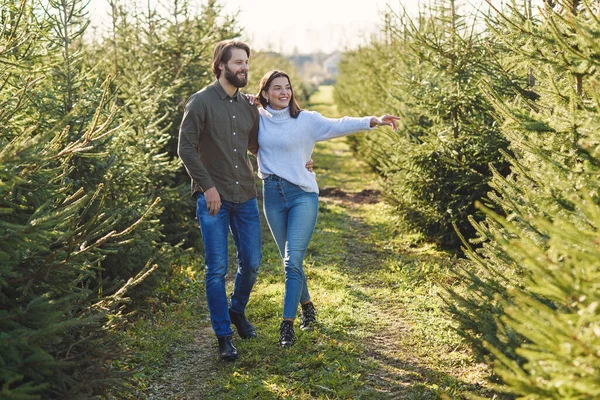 Jeune famille heureuse choisissant arbre de Noël à la plantation préparer des vacances. — Photo