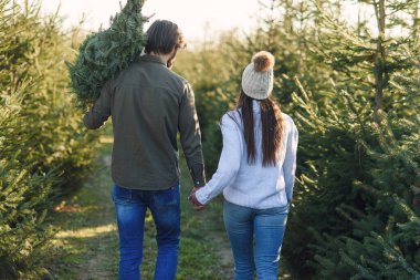 Genç mutlu çift, çiftlikten taze noel ağacı almış. Tatil hazırlıyorlarmış. İyi kış tatilleri..