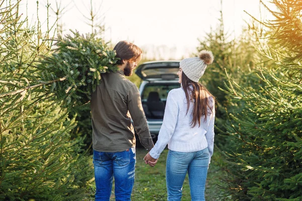 Vue arrière d'un beau jeune couple portant un beau sapin de Noël à leur voiture parmi les plantations de sapins. — Photo
