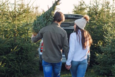 Güzel genç bir çiftin, köknar ağacı fidanlıklarının arasında arabalarına güzel bir Noel ağacı taşımalarının arka manzarası..