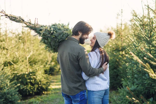 モミの木のプランテーションの中で彼らの車に美しいクリスマスツリーを運ぶ美しい若いカップルのバックビュー. — ストック写真