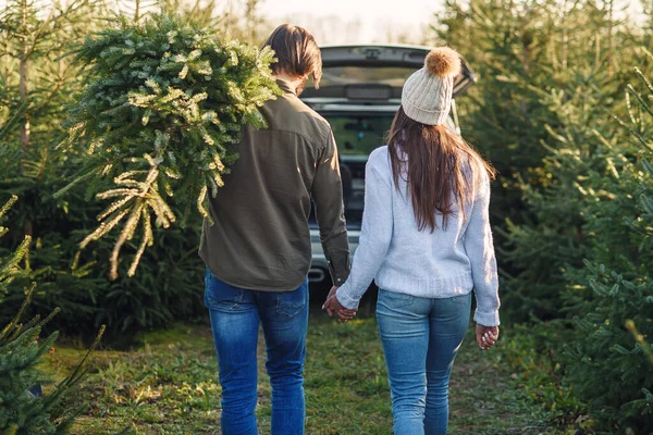 Vue arrière d'un beau jeune couple portant un beau sapin de Noël à leur voiture parmi les plantations de sapins. — Photo