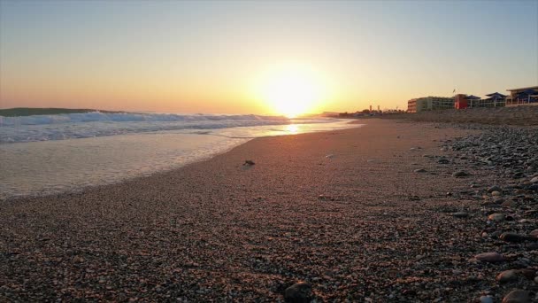 Wylęgły żółw morski czołga się po piasku do morza o świcie. Naprzód do nowego życia. — Wideo stockowe