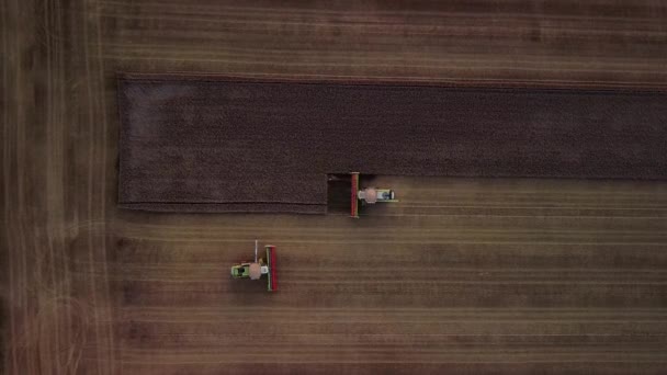 Aerial view of modern harvesters working in a field. Combines harvest wheat in the field at sunset. — Stock Video