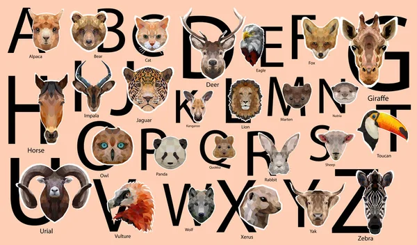 Söt Vektor Zoo Alfabet Affisch Med Låg Poly Djur Uppsättning — Stock vektor