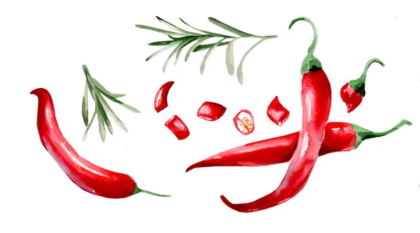 Akvarell Rajz Chili Paprika Fehér Háttér — Stock Fotó