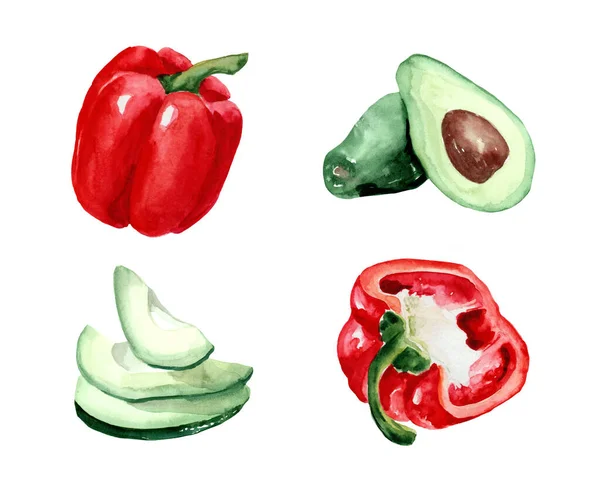 白い背景にアボカドとピーマンの水彩画 健康的な食事 ベジタリアンフード 野菜のスライス — ストック写真