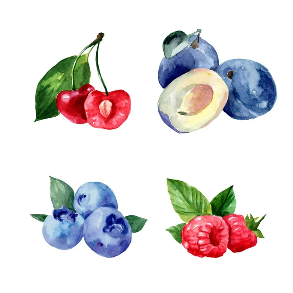 Ensemble Illustrations Aquarelles Avec Des Baies Framboises Bleuets Prunes Cerises — Photo