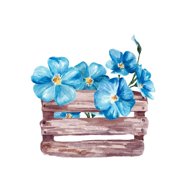 Акварельний Малюнок Коробки Синіми Квітами Лляні Квіти Білому Тлі Весна — стокове фото