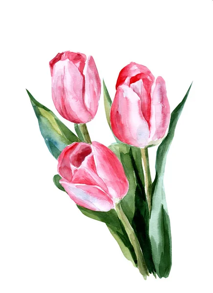 Illustration Aquarelle Tulipes Roses Fleurs Printanières Cadeau Pour Une Fille — Photo