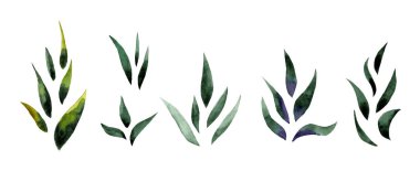 Yeşil yaprakların, dalların ve sarı çiçeklerin suluboya çizimi. Bahar.