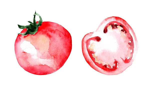 白い背景に赤いトマトの水彩イラスト メニューの装飾のための図面 健康食品 — ストック写真
