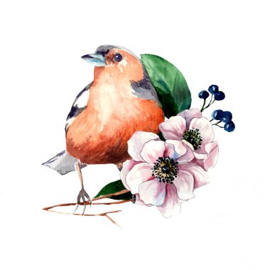 Beyaz arka planda şakayık çiçekli ve böğürtlenli bir karga resmi. Kuşlar. Bahar.