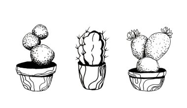 Kaktüslerin resmi. Ofis. Grafikler. Çizgi çizimi
