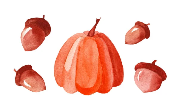 Set Watercolor Autumn Plants Hand Painted Pumpkin Acorn Isolated White — Φωτογραφία Αρχείου